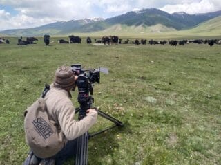 Kameramann Johannes Praus dreht Rinder in Kirgistan