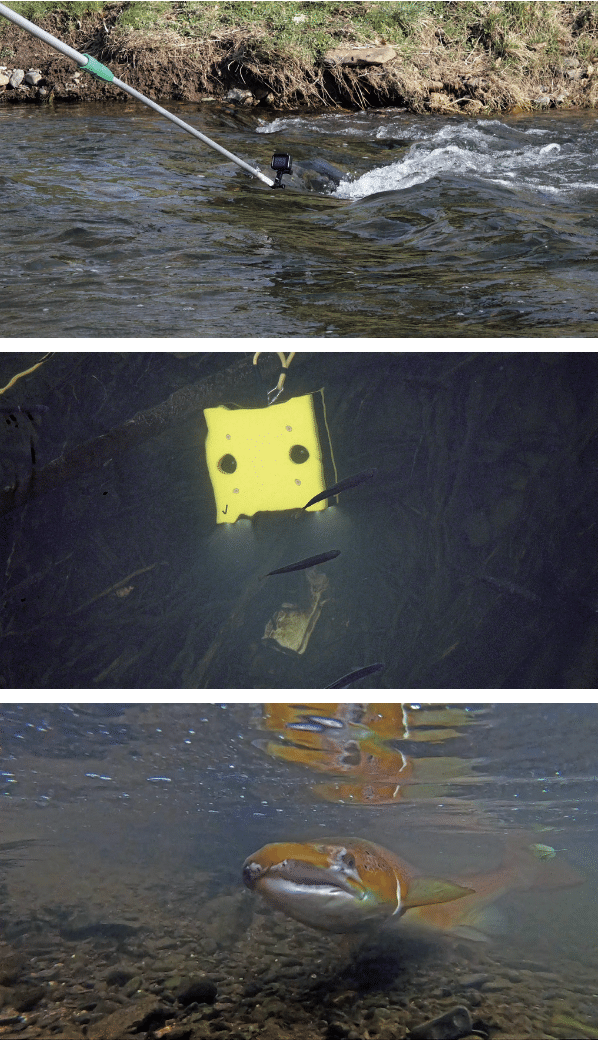 On-Set-Fotos von Dreharbeiten unter Wasser in einem kleinen Fluss