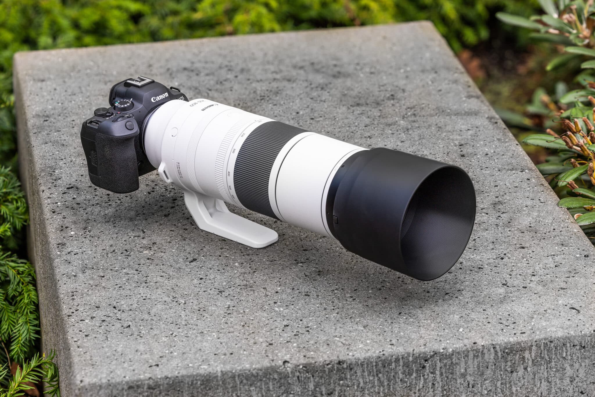 Canon RF 200-800mm F6.3-9 IS USM 