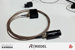 IBC Proton